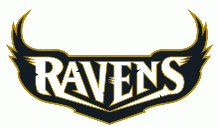 Baltimore Ravens 1996-1998 Wordmark Logo iron on transfers for clothing version 3